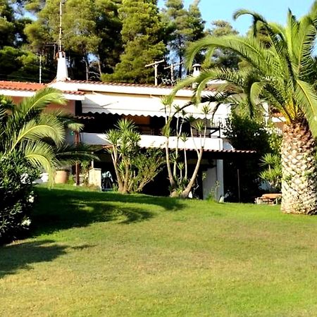 Beachfront Villa 100M From Sea For Up To 10 Guests Siviri Exterior foto