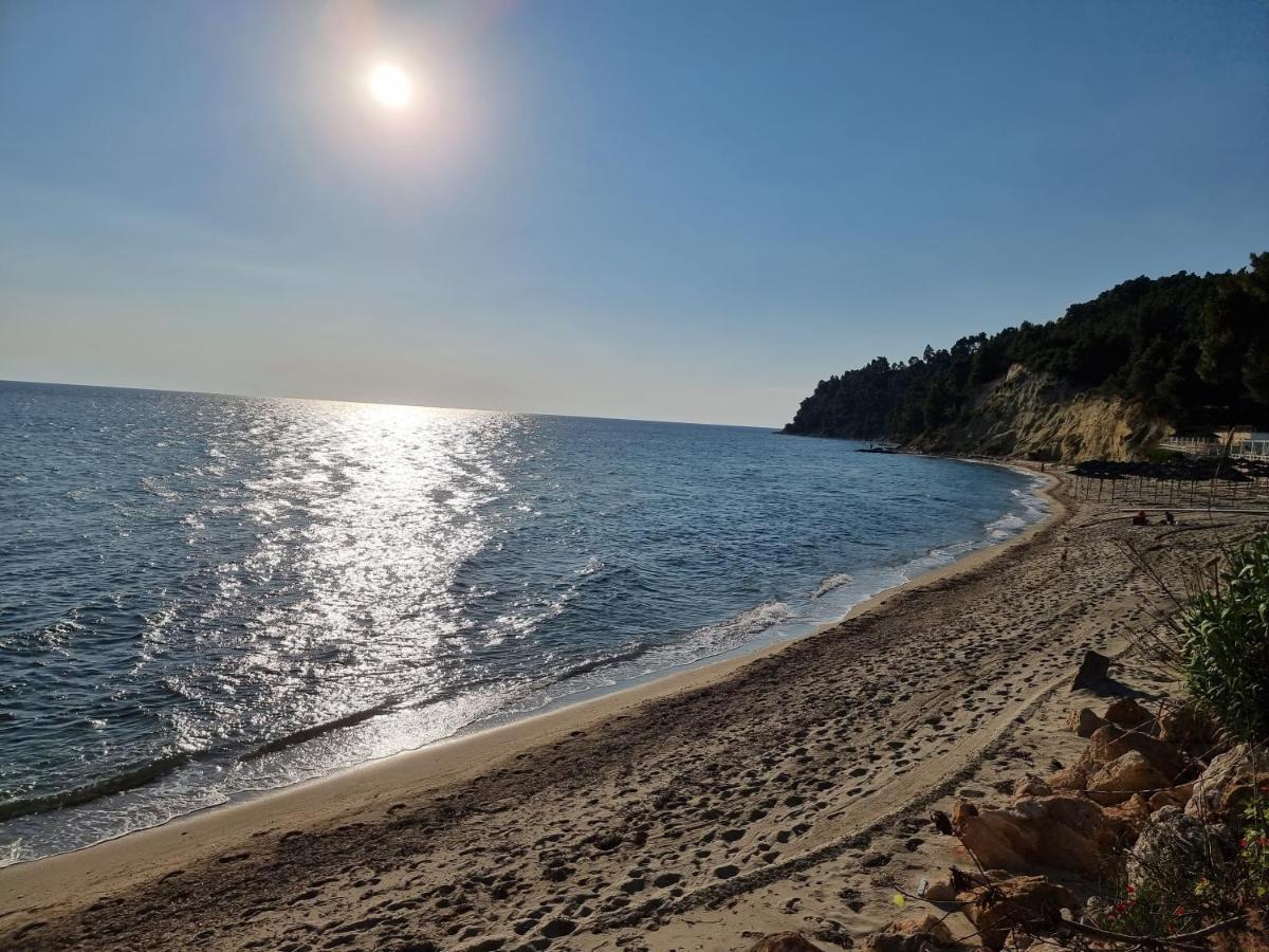 Beachfront Villa 100M From Sea For Up To 10 Guests Siviri Exterior foto