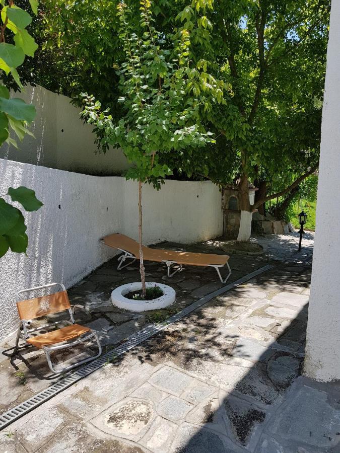 Beachfront Villa 100M From Sea For Up To 10 Guests Siviri Exterior foto